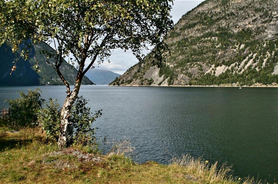 Kvammehuset Pa Gamle Laerdalsoyri Βίλα Εξωτερικό φωτογραφία